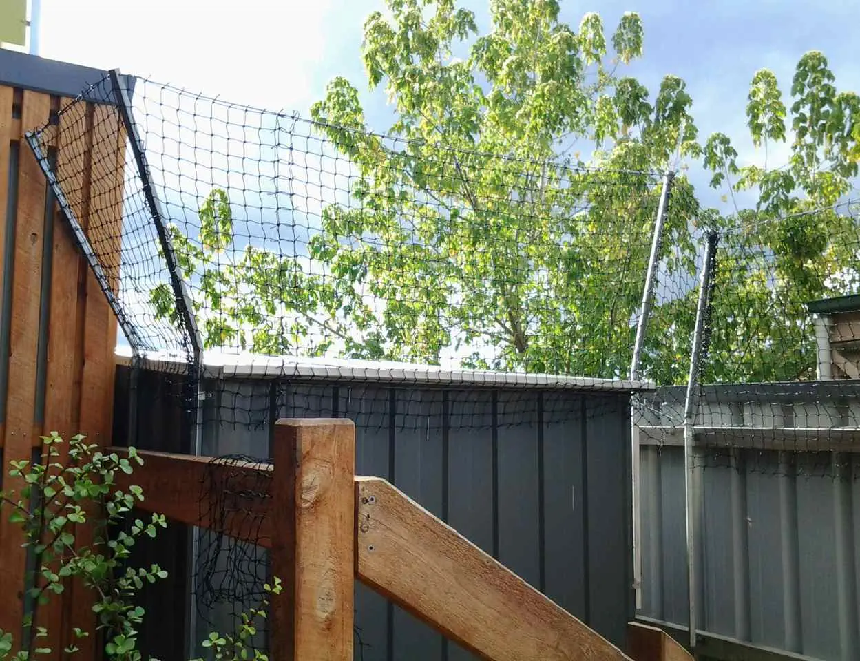 Cat Proof Fence