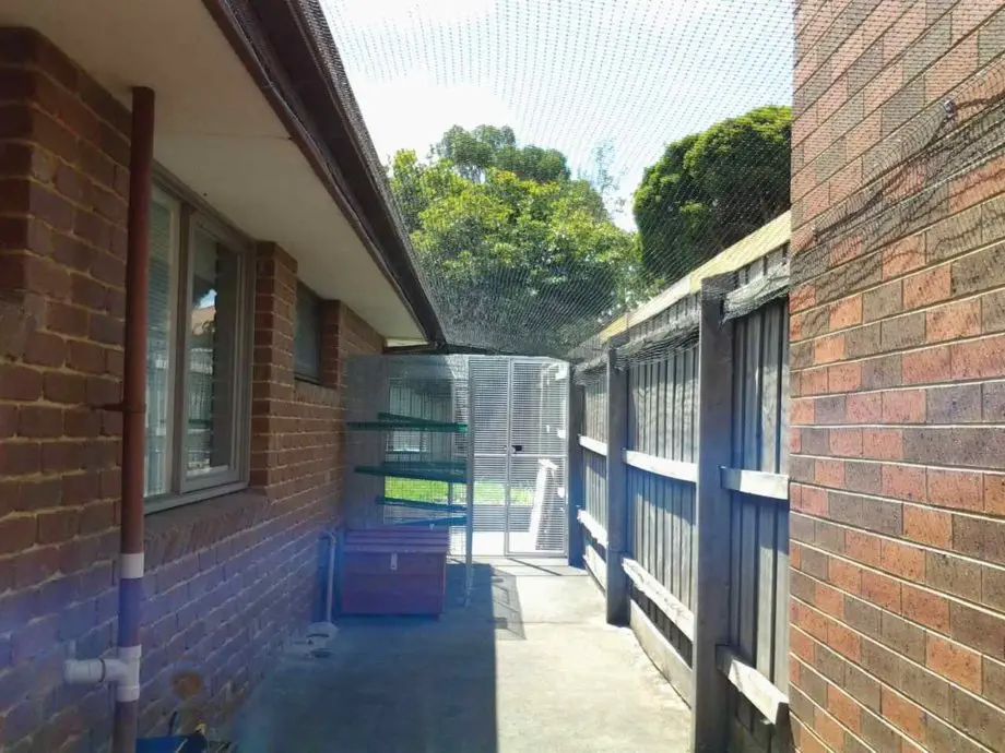 Custom Enclosure Along Side Of House